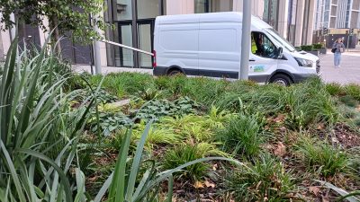 Nine Elms Commerical Contract Planting Gardening Services