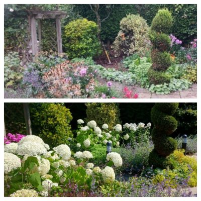 Domestic garden makeover and planting