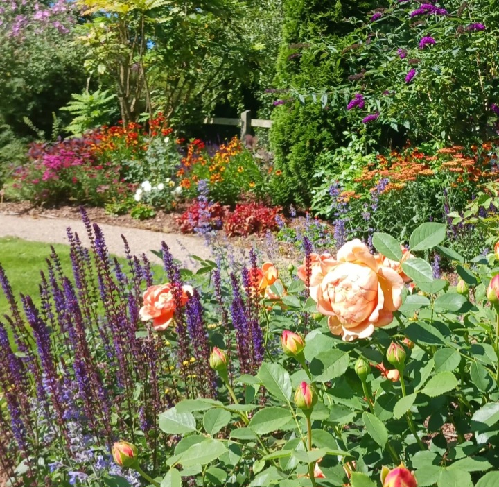 Domestic garden makeover