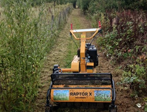 Vegetation Management / Footpath Clearance in Hertfordshire