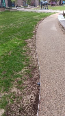 Lawn in Shoreditch London