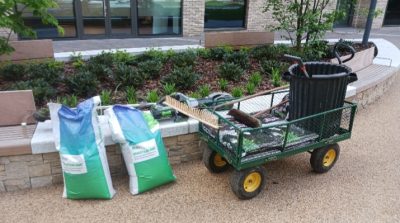 Lawn restoration Shoreditch London