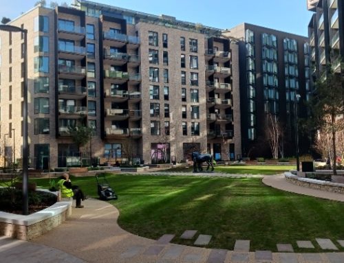 Lawn restoration in Shoreditch London