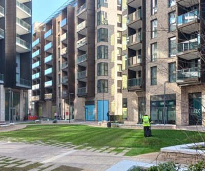 Lawn restoration in Shoreditch London