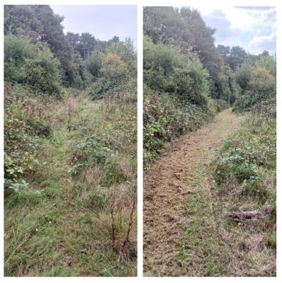 Vegetation Management Clearance in Hertfordshire (2)