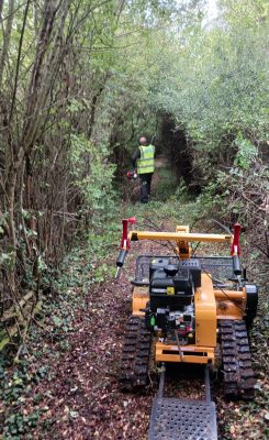 Vegetation Management Clearance in Hertfordshire